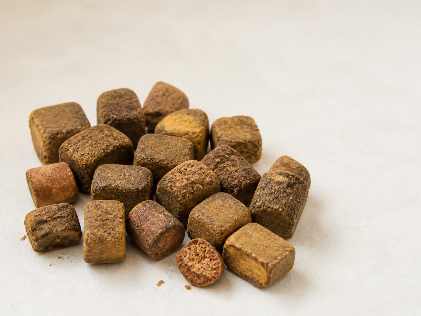 Dried Indonesian gambier extract blocks arranged on a neutral surface