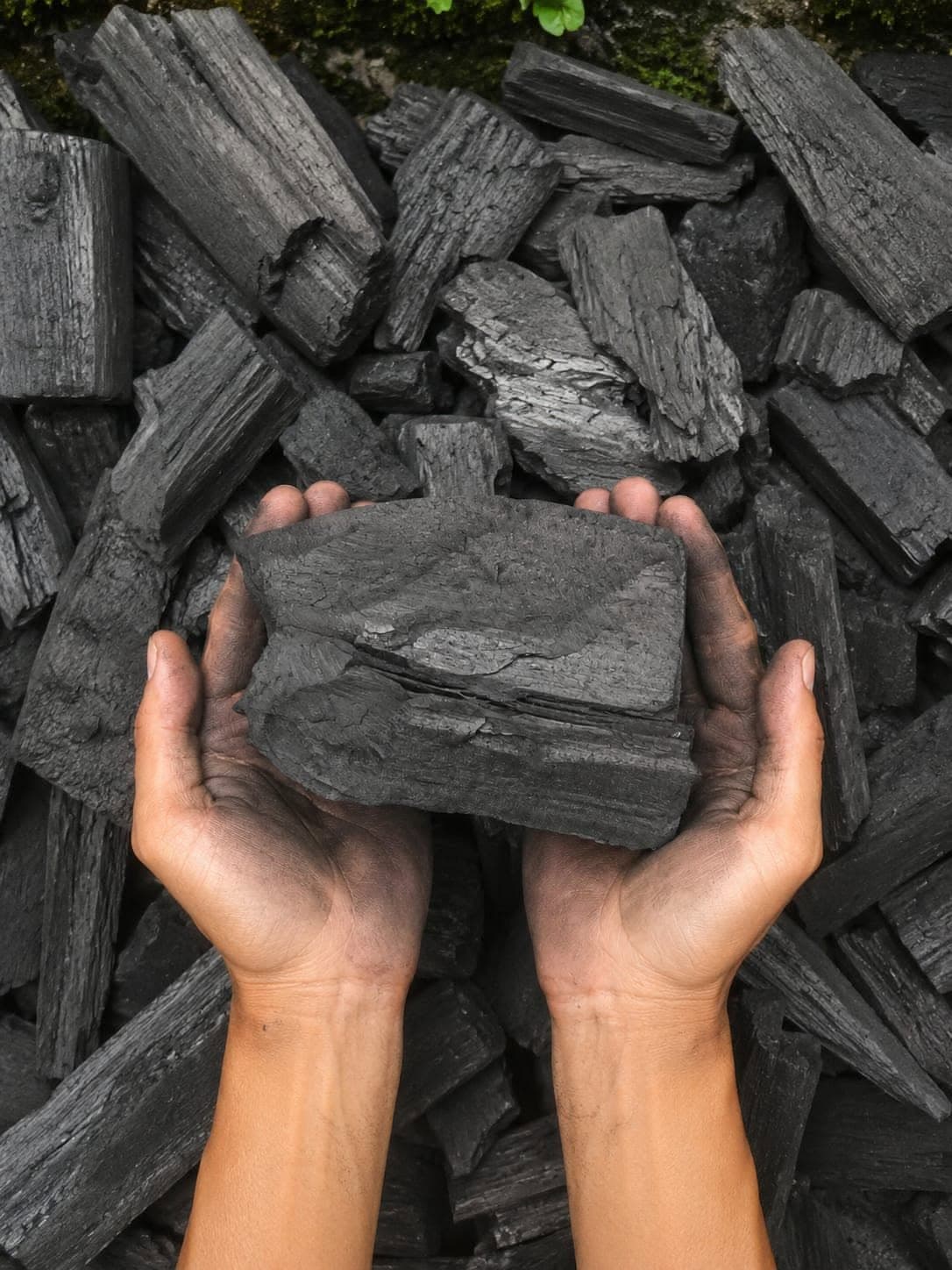 Angular chunks of hardwood lump charcoal showing longitudinal wood grain